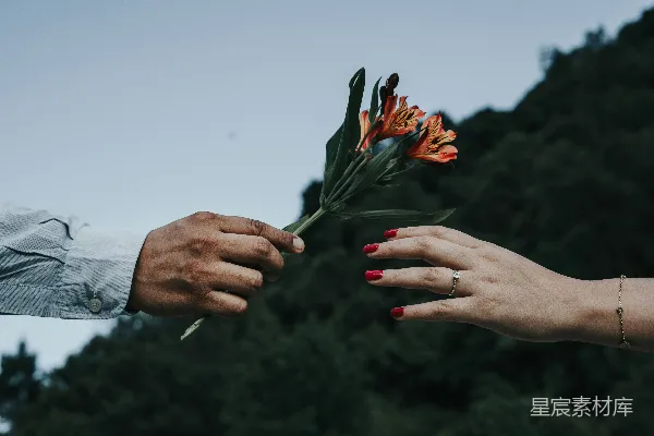 高清摄影 拿着红绿相间的花的人