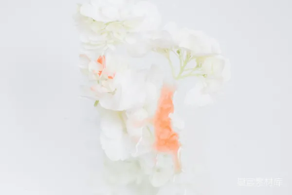 高清摄影 一束放在桌子上的花。