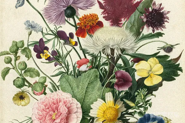 高清摄影 一束插在花瓶里的花