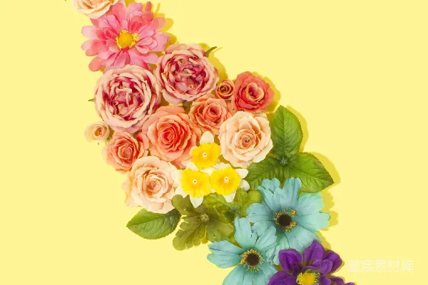 高清摄影 白色、粉红色、紫色和绿色的花朵墙饰