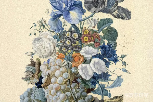 高清摄影 一幅详细的静物画，描绘了花和葡萄。