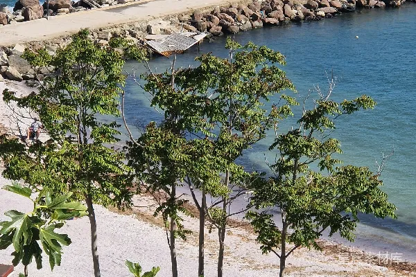 高清摄影 从山上俯瞰一片水域的景色