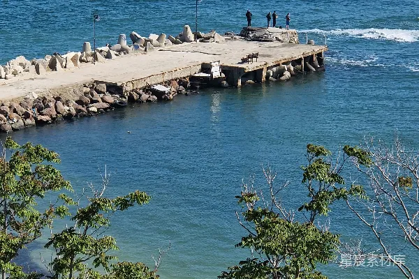 高清摄影 一群鸟儿坐在海边的码头上。