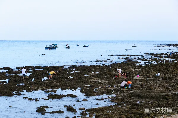 高清摄影 一群人在岩石海滩上站立