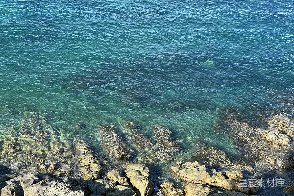 高清摄影 几个在水里划着冲浪板的人