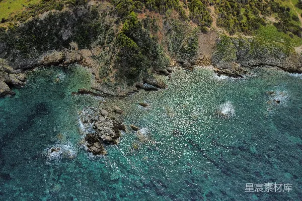 高清摄影 岩石海滩上有树木