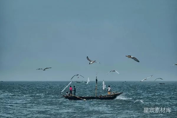 高清摄影 一艘船漂浮在海洋中央，海鸥在周围飞舞。