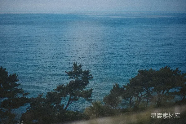 高清摄影 树木环绕的海景。