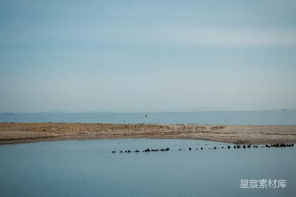高清摄影 一片大水域，水面上漂浮着许多鸭子。