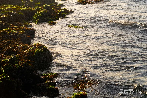 高清摄影 一片水域紧邻岩石海岸
