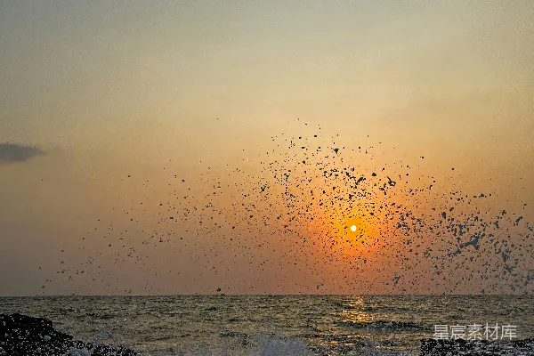 高清摄影 夕阳正照在海面上，空中飞舞着鸟儿。