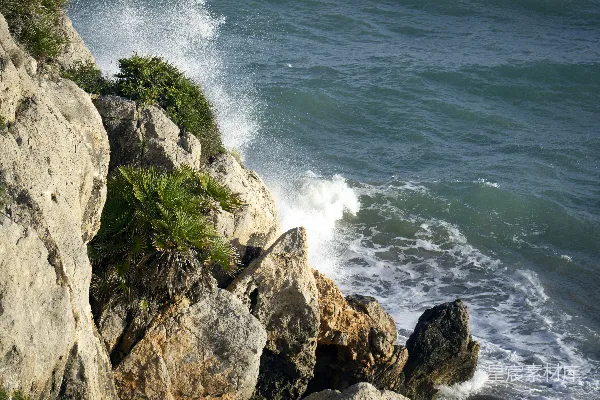 高清摄影 岩石海岸线