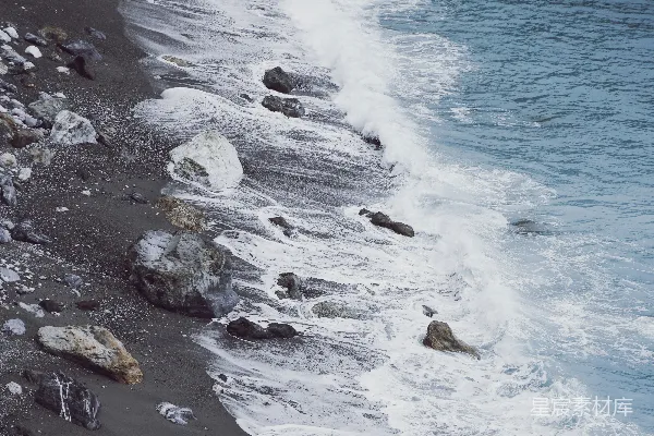 高清摄影 一群鸟站在海滩上，旁边是海洋。