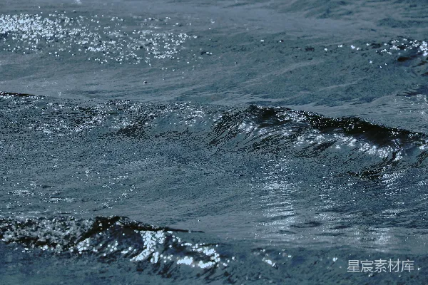 高清摄影 一只鸟停在海洋波浪的顶上