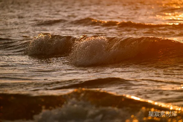 高清摄影 夕阳下，温柔的海浪泛着金色的光芒。
