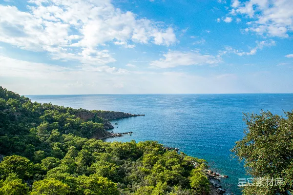 高清摄影 海景和树木的风景