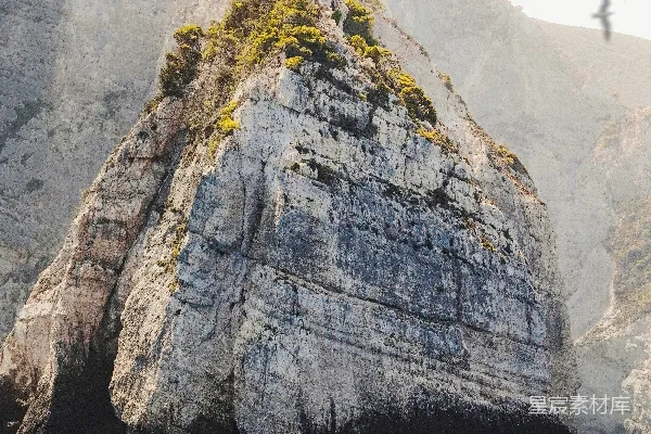 高清摄影 一群鸟在水面上飞行