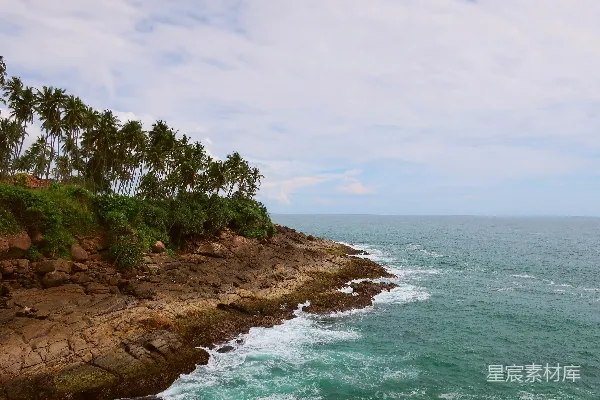 高清摄影 岩石海岸线，棕榈树和蓝色的海浪。