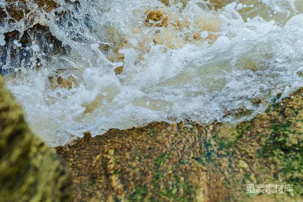 高清摄影 一只鸟坐在水中的岩石上