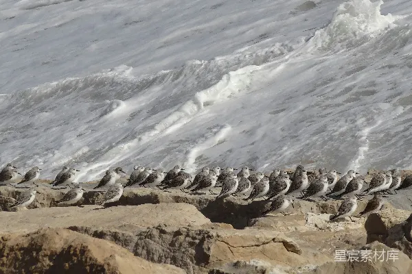 高清摄影 棕色的岩石山峰上有积雪