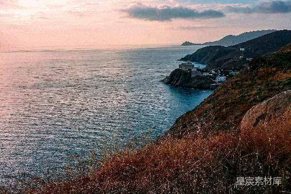 高清摄影 白天水边的绿草