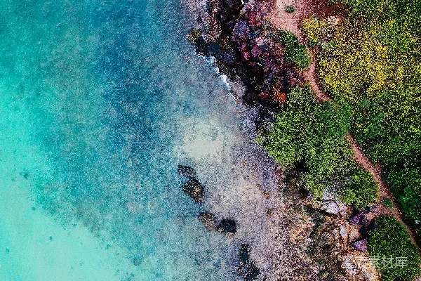 高清摄影 树木和水面的景色