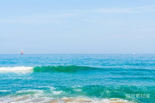 高清摄影 白天在海浪上冲浪的人