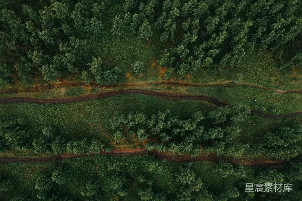 高清摄影 白天的空中俯瞰绿树场景