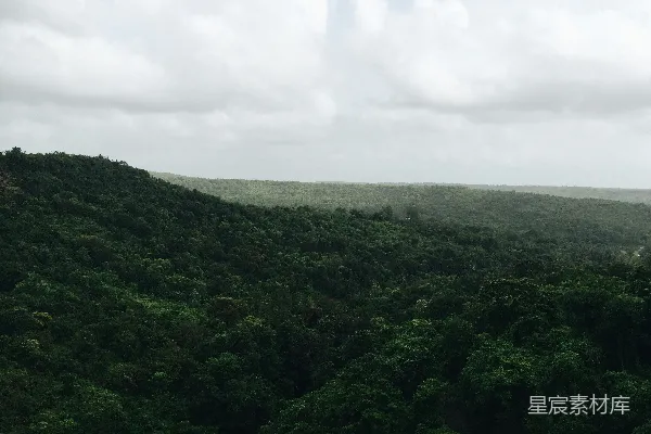 高清摄影 树木的鸟瞰摄影