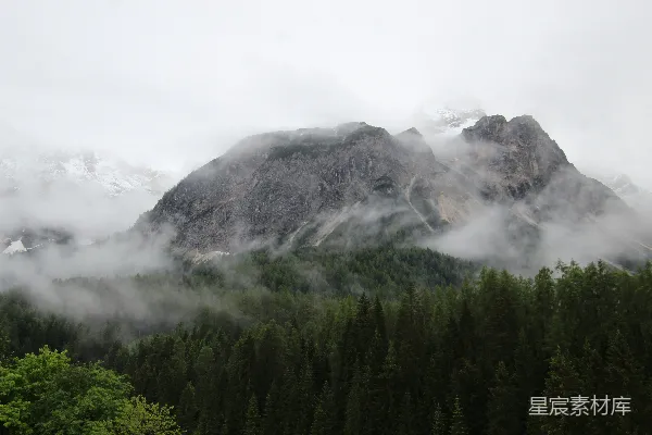 高清摄影 一座被云雾笼罩的山，前景中有树木。