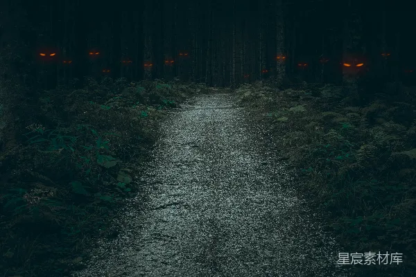 高清摄影 一片空旷的田野