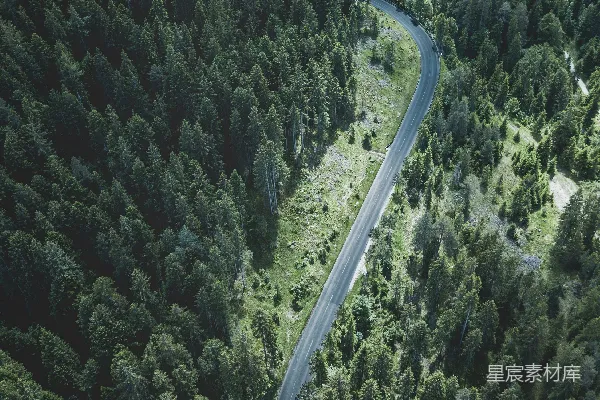 高清摄影 被树木环绕的路