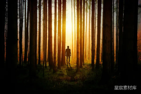高清摄影 黄昏时分森林里一个人的剪影