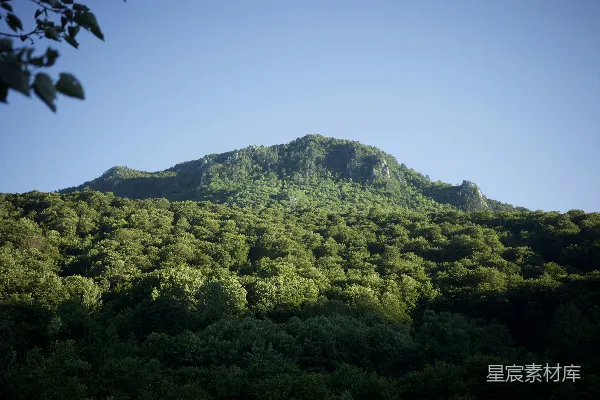 高清摄影 一座山，旁边长着树木。
