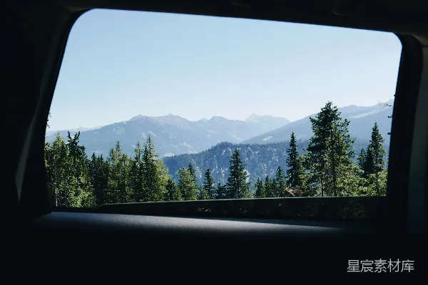高清摄影 松树山景摄影