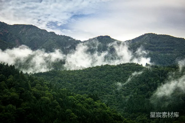 高清摄影 绿树和山景