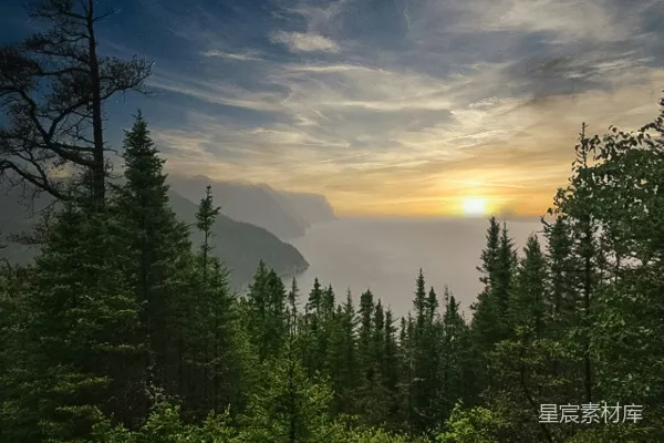 高清摄影 白天山边的绿松树