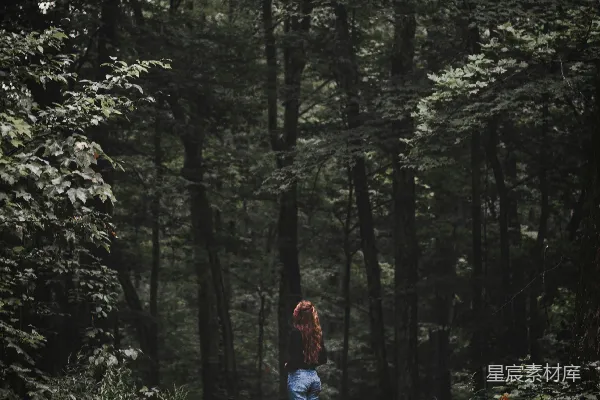 高清摄影 穿红色夹克和蓝色牛仔裤的女人在白天的森林中行走。