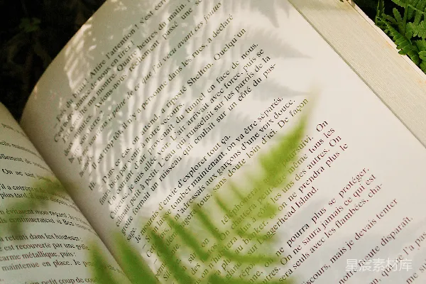 高清摄影 一本书在蕨影的衬托下显得更加生动。