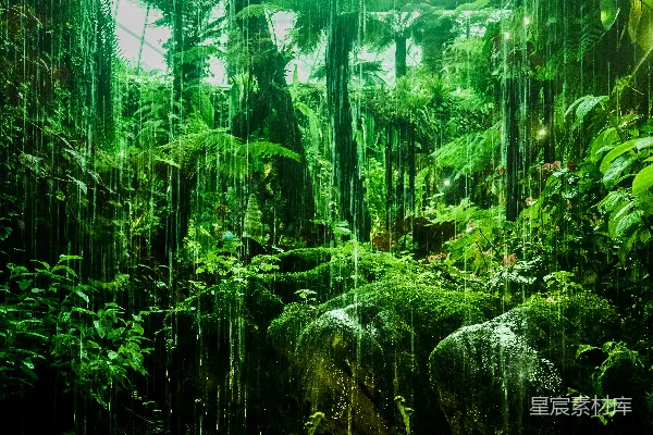 高清摄影 绿色植物