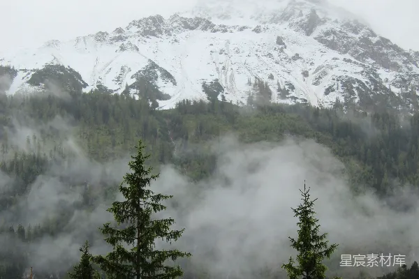 高清摄影 覆盖着积雪的山峰，前景中有树木。
