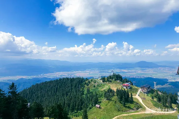 高清摄影 一幅有树木和背景中的水面的风景。