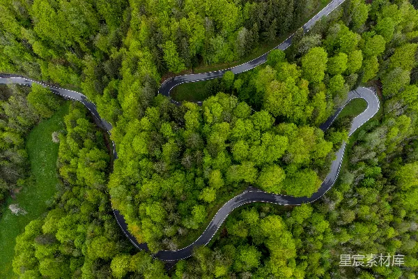 高清摄影 空中俯瞰绿树