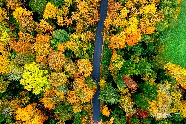 高清摄影 鸟瞰一条被树木环绕的道路。