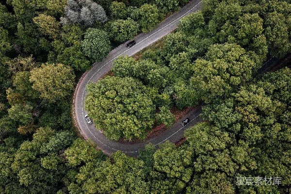 高清摄影 白天的空中俯瞰绿树和道路