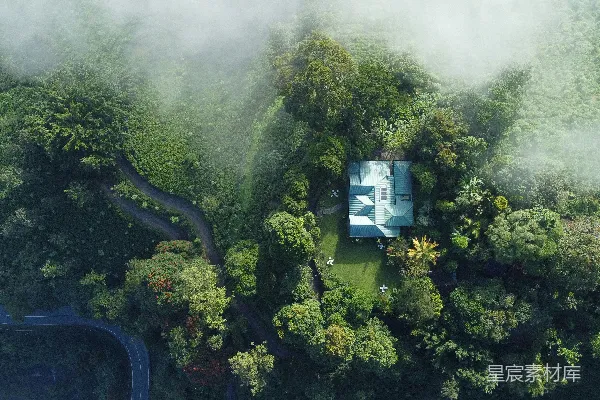 高清摄影 空中俯瞰森林中央的一栋房子