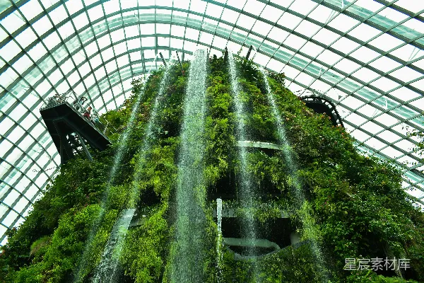 高清摄影 建筑内的绿色树木