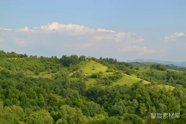 高清摄影 一片树木和山丘构成的风景