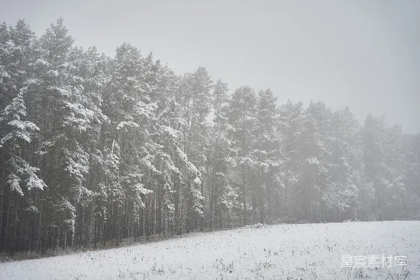 高清摄影 一片覆盖着雪的田野，背景中有一些树木。