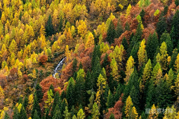 高清摄影 森林的空中俯瞰图，有许多树木。